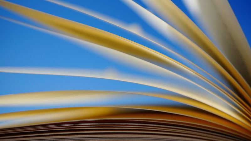 我的妈妈动漫 分区总览：本站对这页内容的结构划分