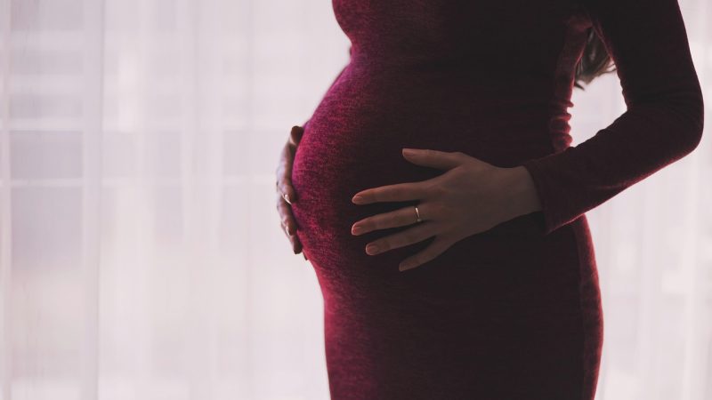 我的妈妈动漫 分区总览:本站对这页内容的结构划分